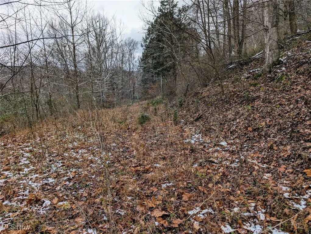 333 Little Italy Road, West Virginia,MLS Now Listing ID