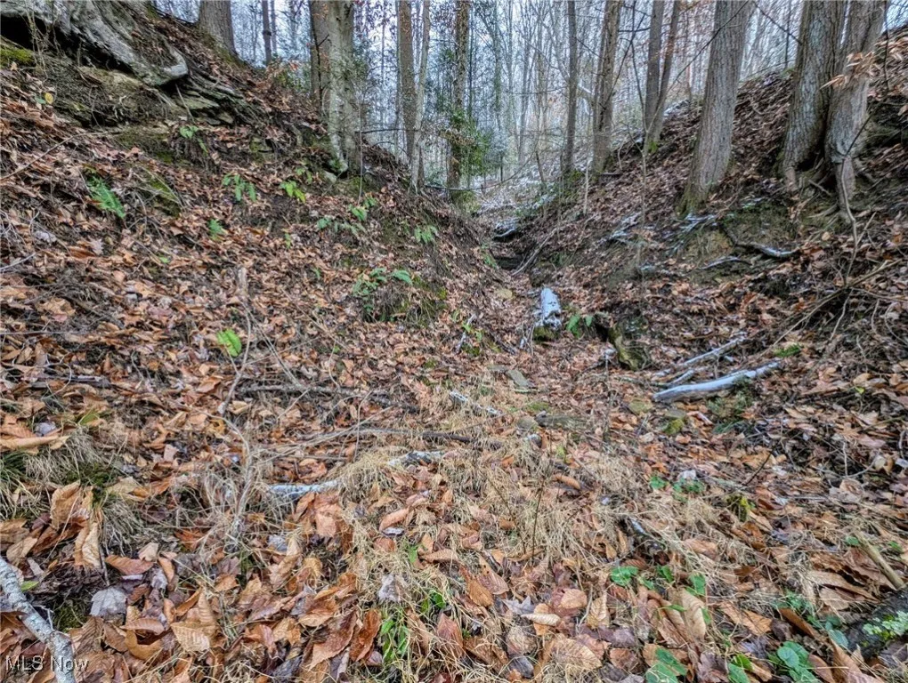 333 Little Italy Road, West Virginia,MLS Now Listing ID