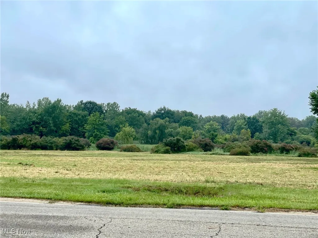 View of vacant land on Munson St.