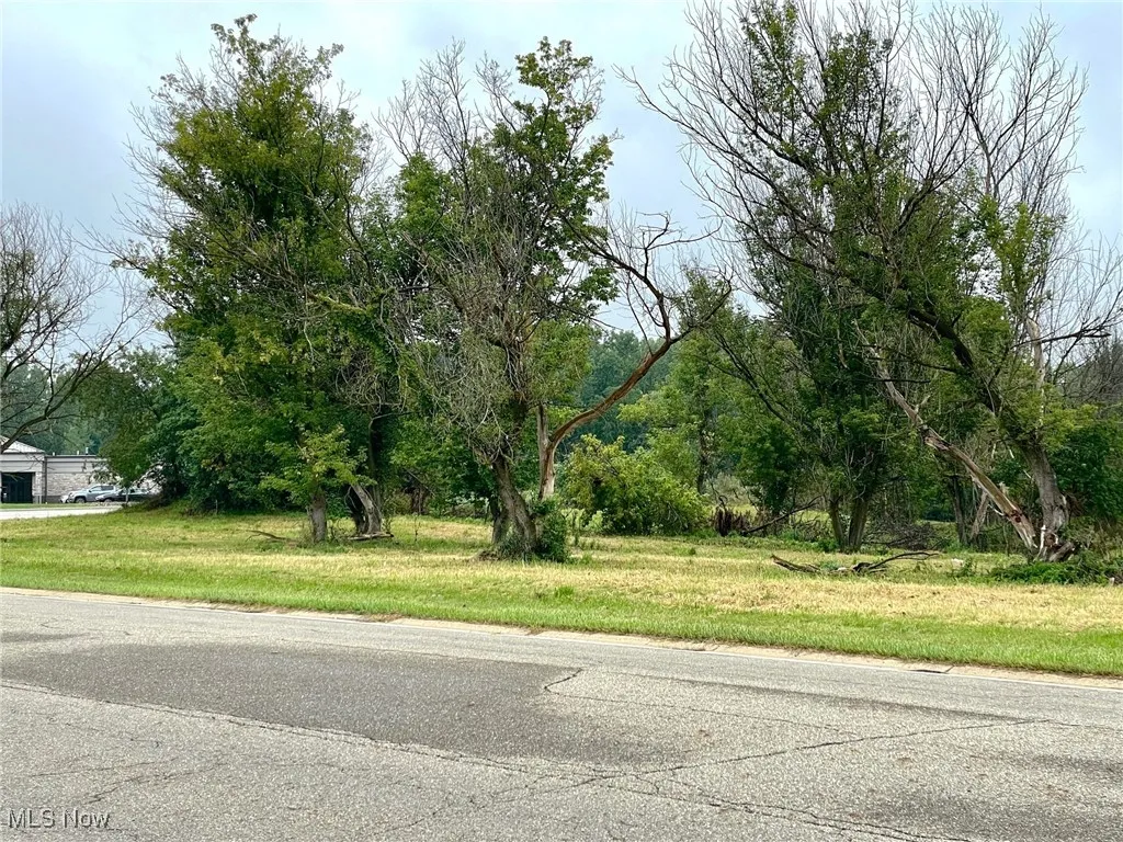 View of vacant land on Munson St.