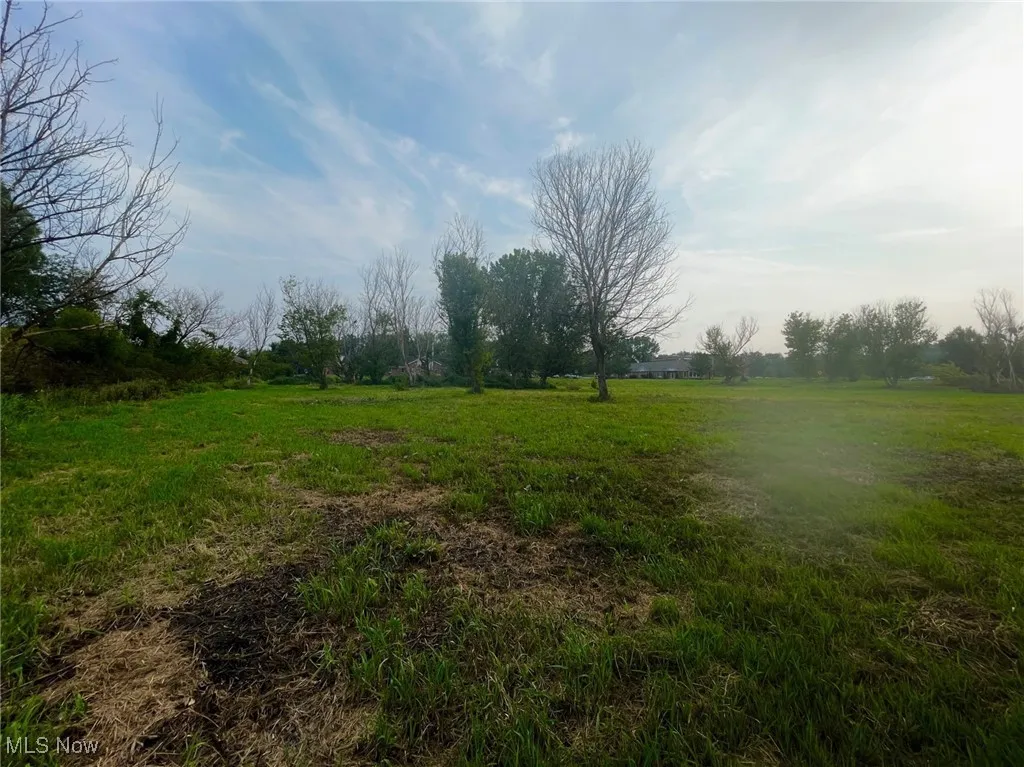 View of vacant land on Munson St.