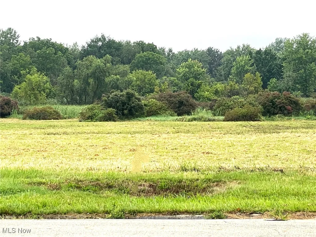 View of vacant land on Munson St.