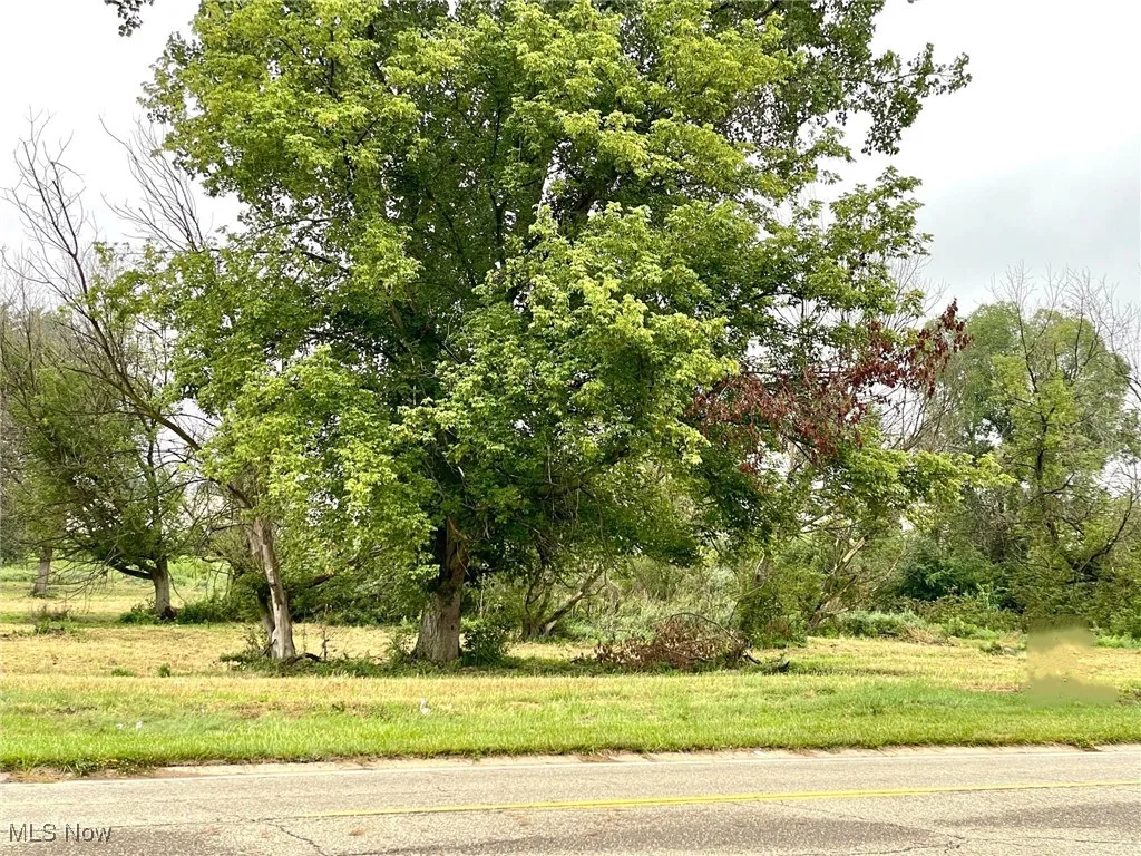 View of vacant land on Munson St.
