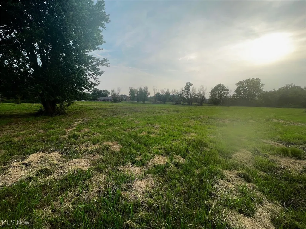 View of vacant land on Munson St.