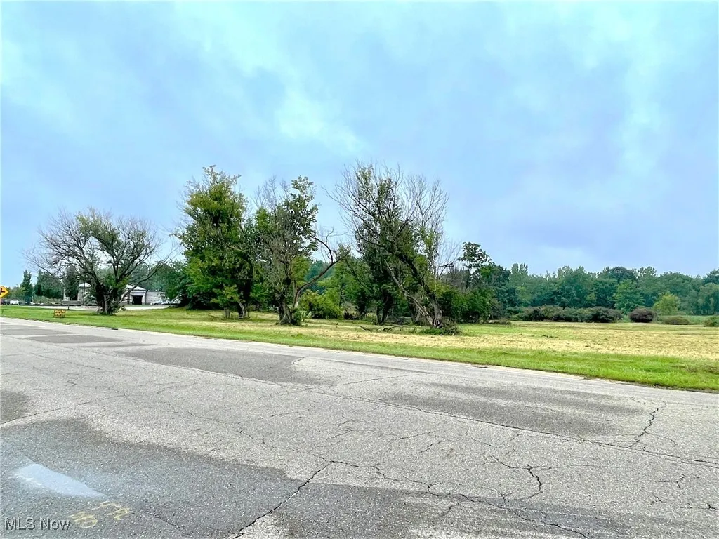 View of vacant land on Munson St.