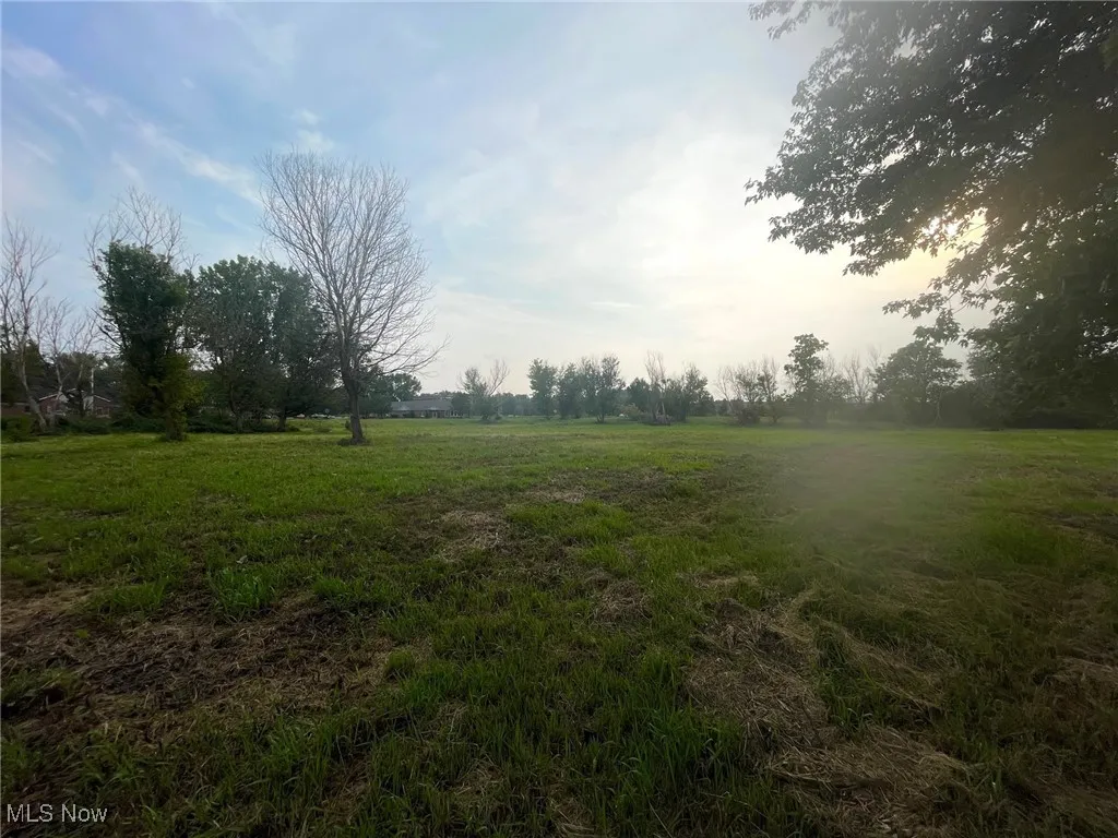 View of vacant land on Munson St.