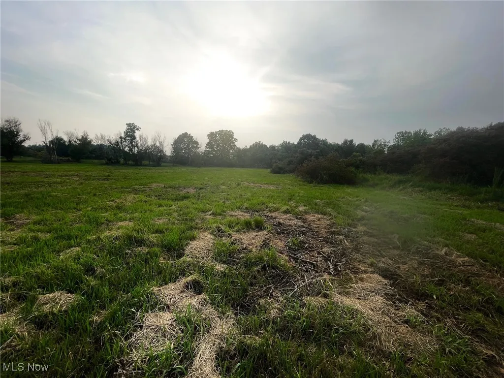 View of vacant land on Munson St.