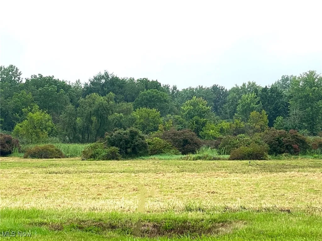 View of vacant land on Munson St.