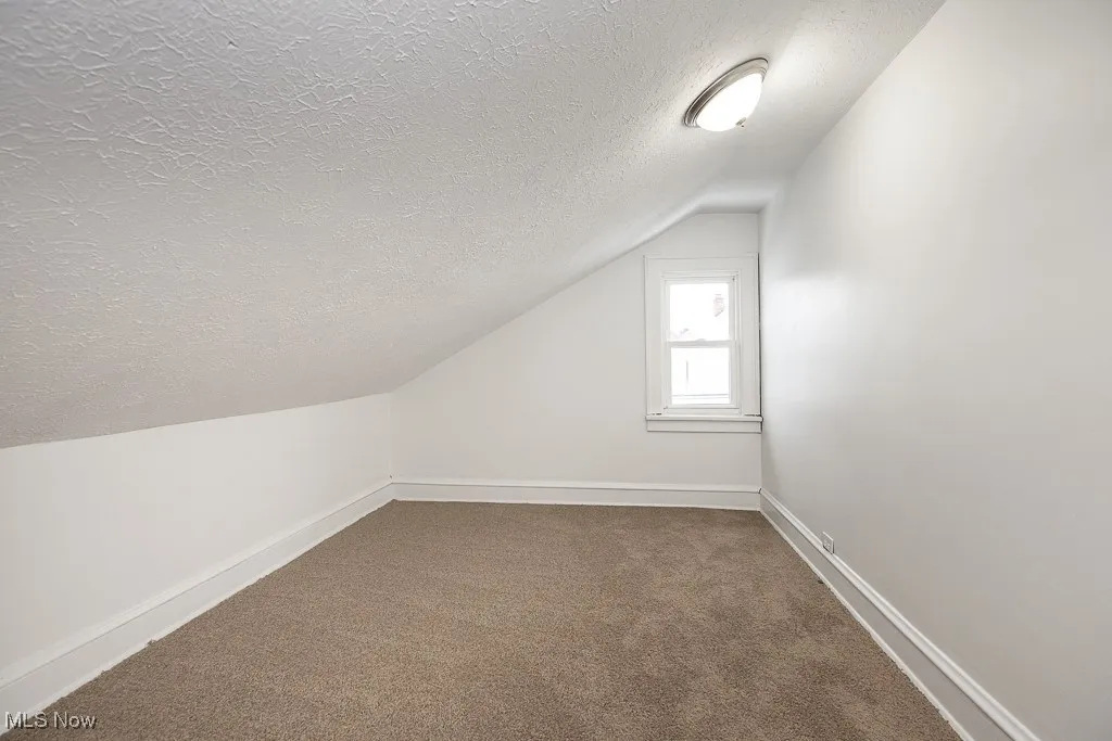 Bonus room with a textured ceiling, carpet, and lofted ceiling