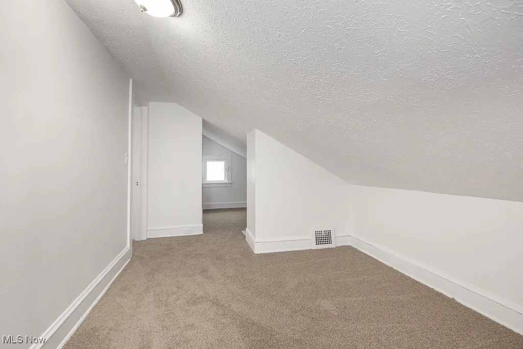 Additional living space featuring carpet, lofted ceiling, and a textured​​‌​​​​‌​​‌‌​‌‌​​​‌‌​‌​‌​‌​​​‌​​ ceiling