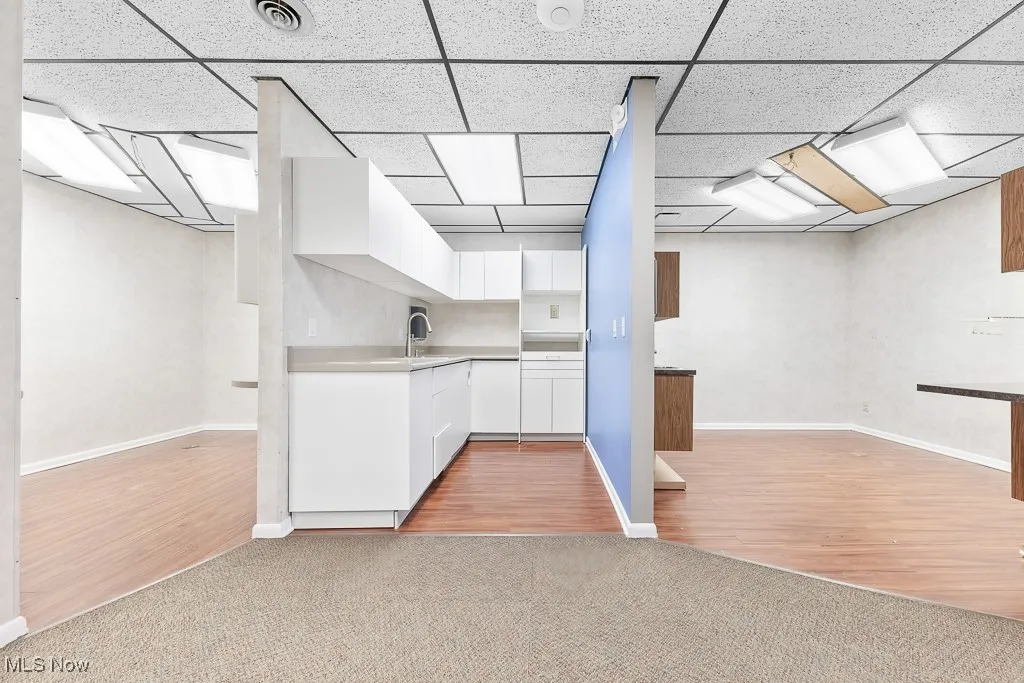 Finished below grade area with baseboards, visible vents, a sink, a paneled ceiling, and light carpet