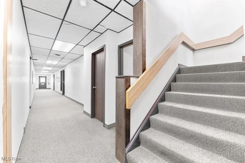 Stairs with carpet, baseboards, and a paneled ceiling