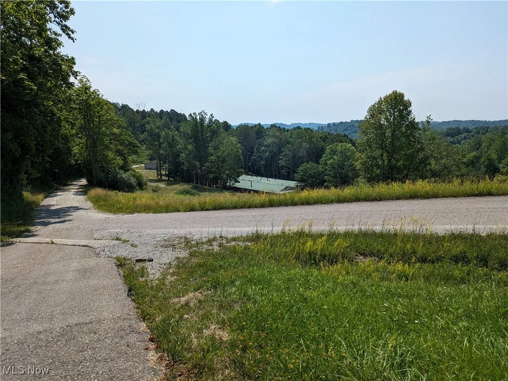 49862 Batesville Road, Summerfield, Ohio 43788,MLS Now Listing ID