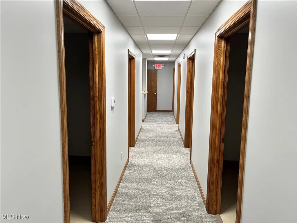 Hallway featuring light colored carpet and a drop ceiling