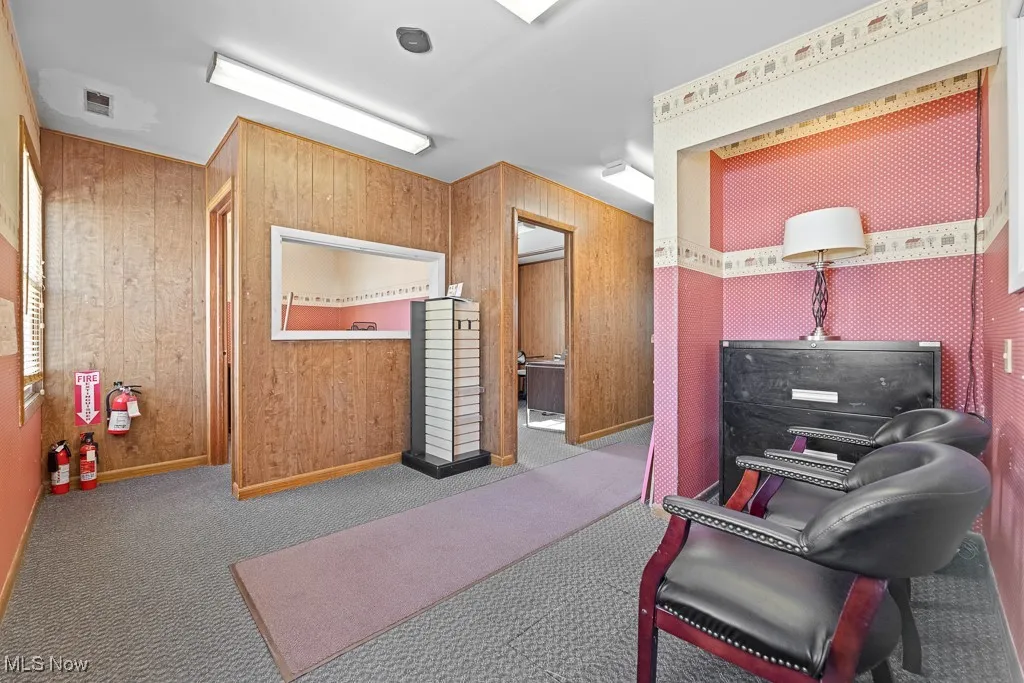 293 N Ellsworth Avenue, Salem, Ohio,MLS Now Listing ID