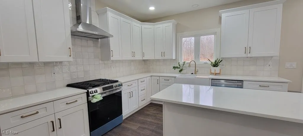 Prior Model Kitchen