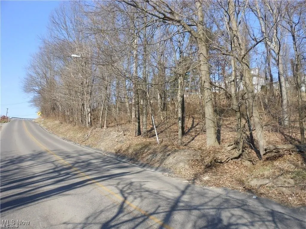 View of road
