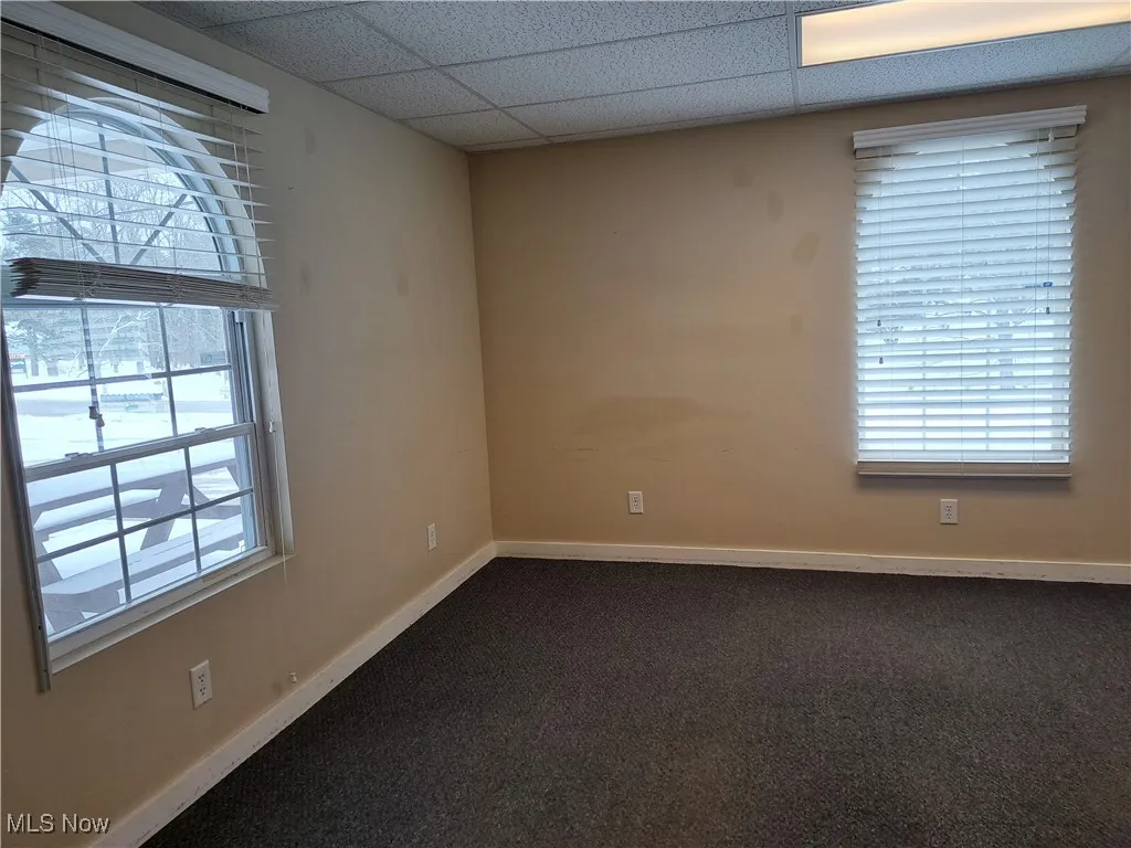 Brightly lit office or conference room