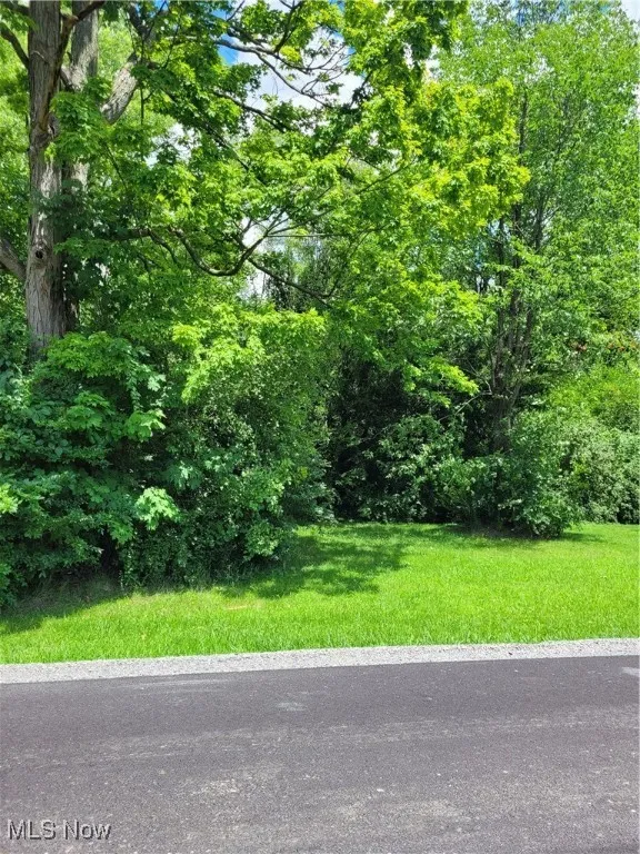 Townsend Avenue, Youngstown, Ohio 44505,MLS Now Listing ID