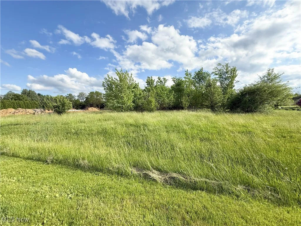 View of undeveloped land with rural landscape