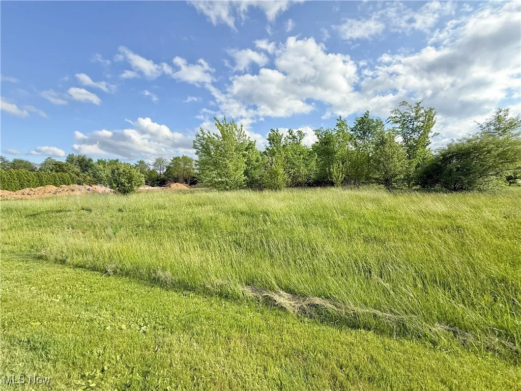 View of nature featuring rural landscape