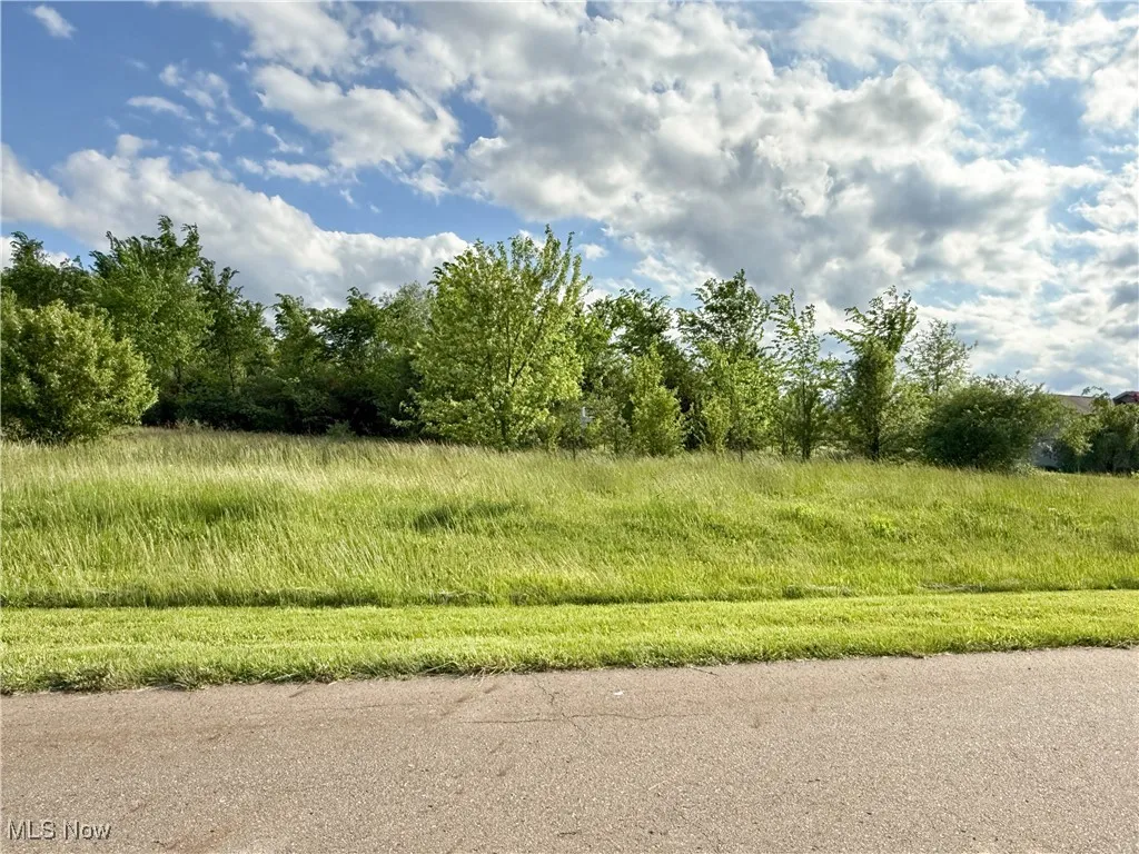 49451 Foxwood Lane, East Palestine, Ohio,MLS Now Listing ID