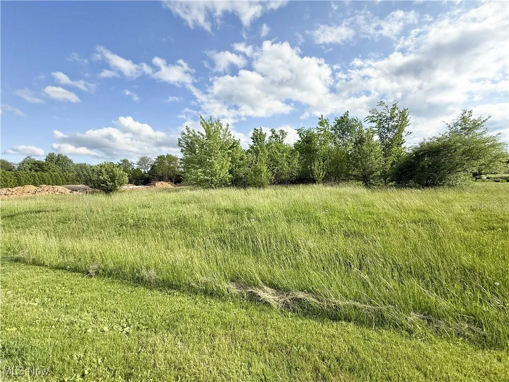 View of nature with rural landscape