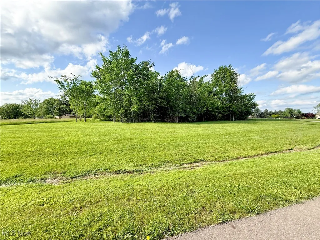 View of green lawn with a rural view