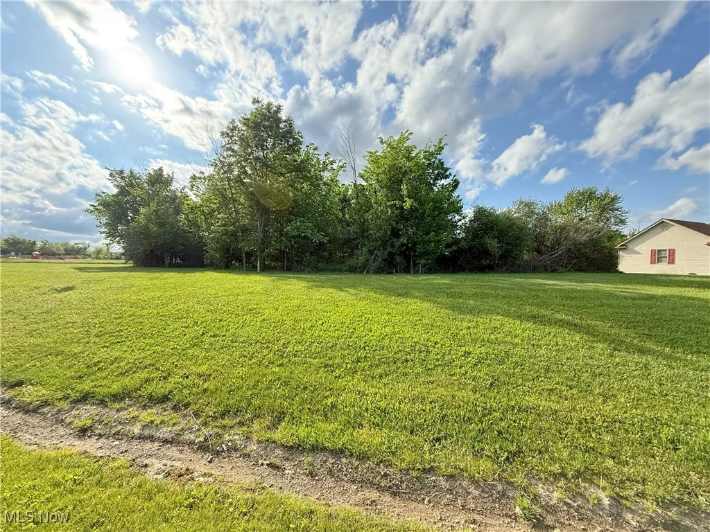 View of grassy yard