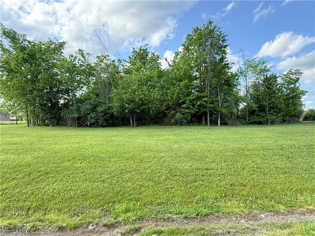 View of grassy yard