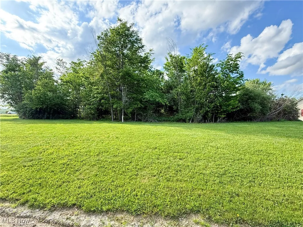 View of green lawn