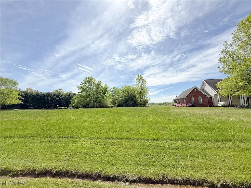 View of green lawn
