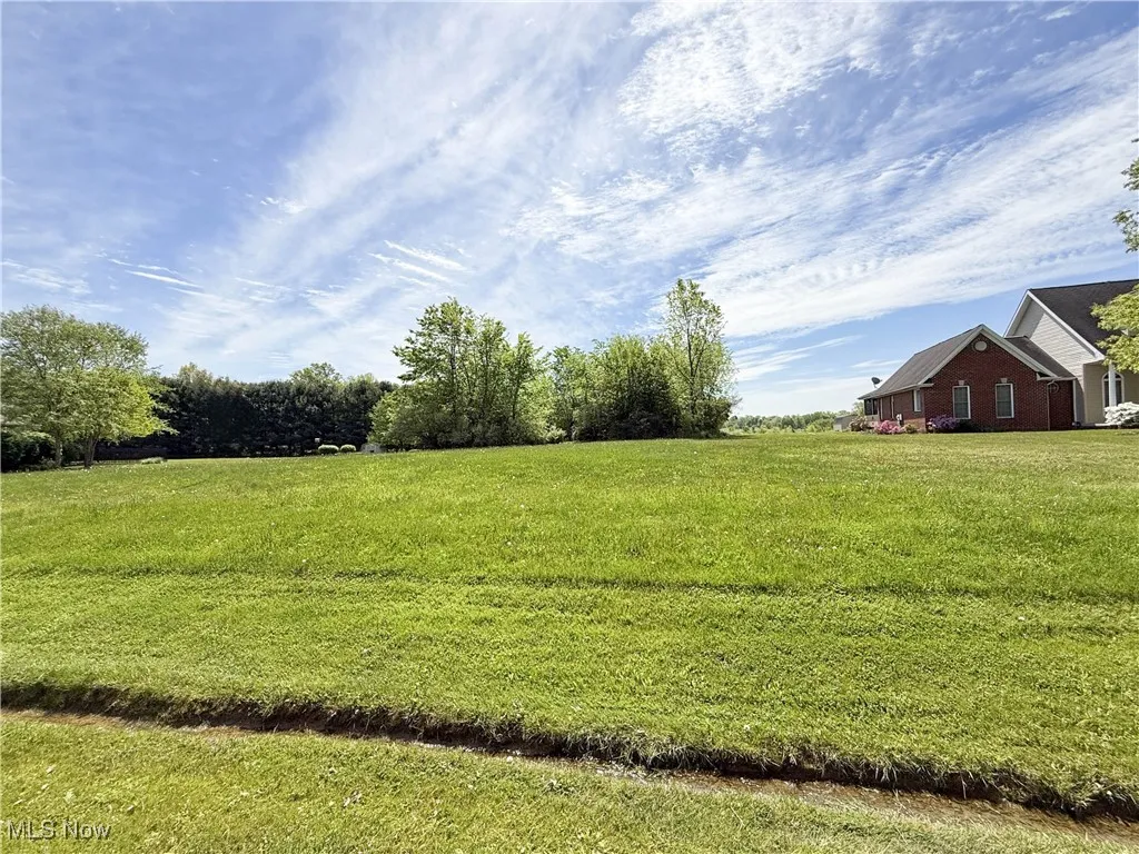 View of grassy yard