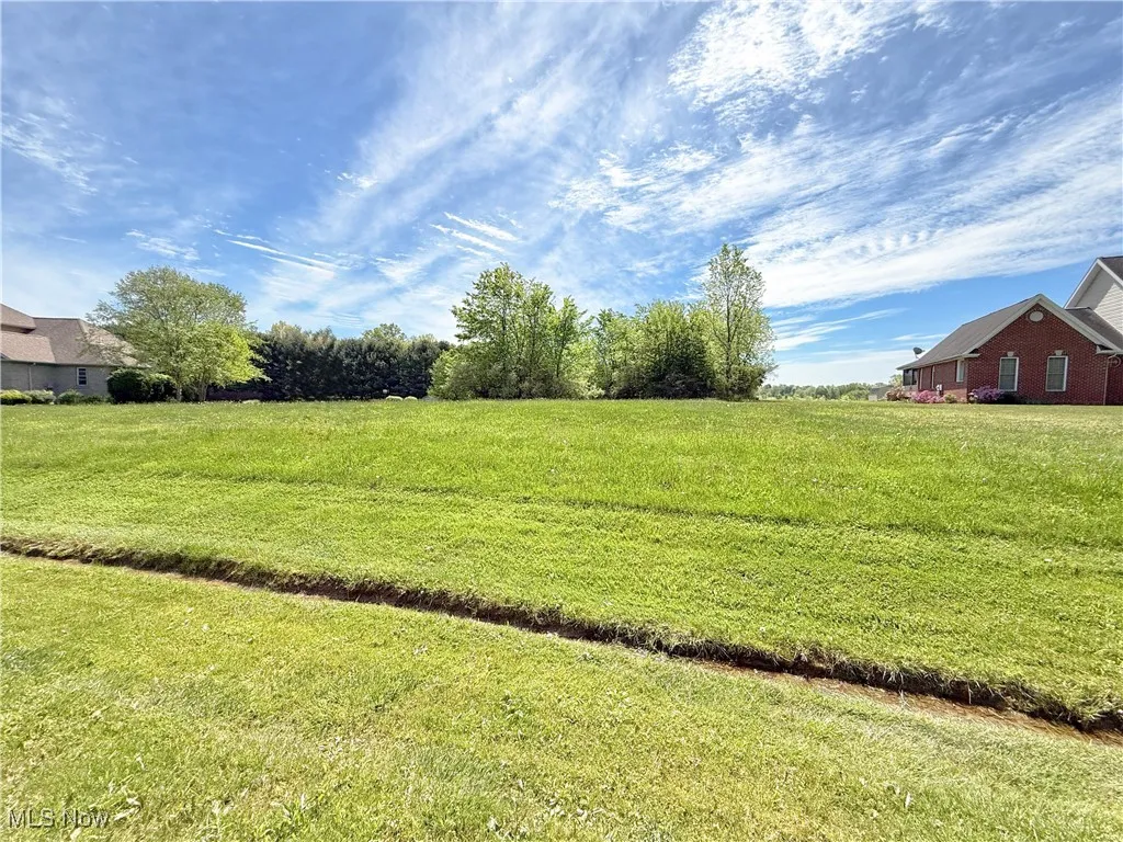 View of grassy yard
