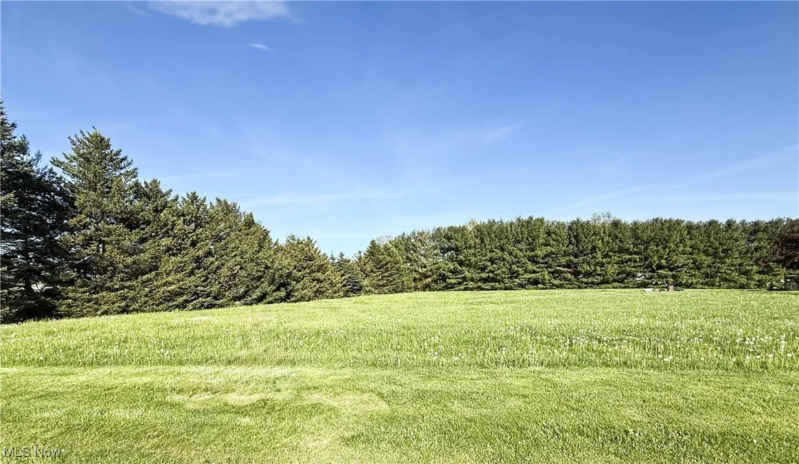 View of grassy yard with a view of rural / pastoral area and a forest view