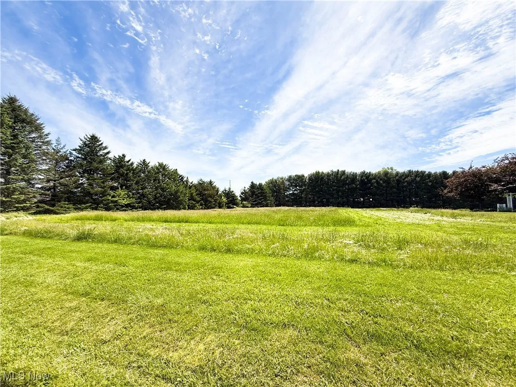 View of yard featuring a view of countryside