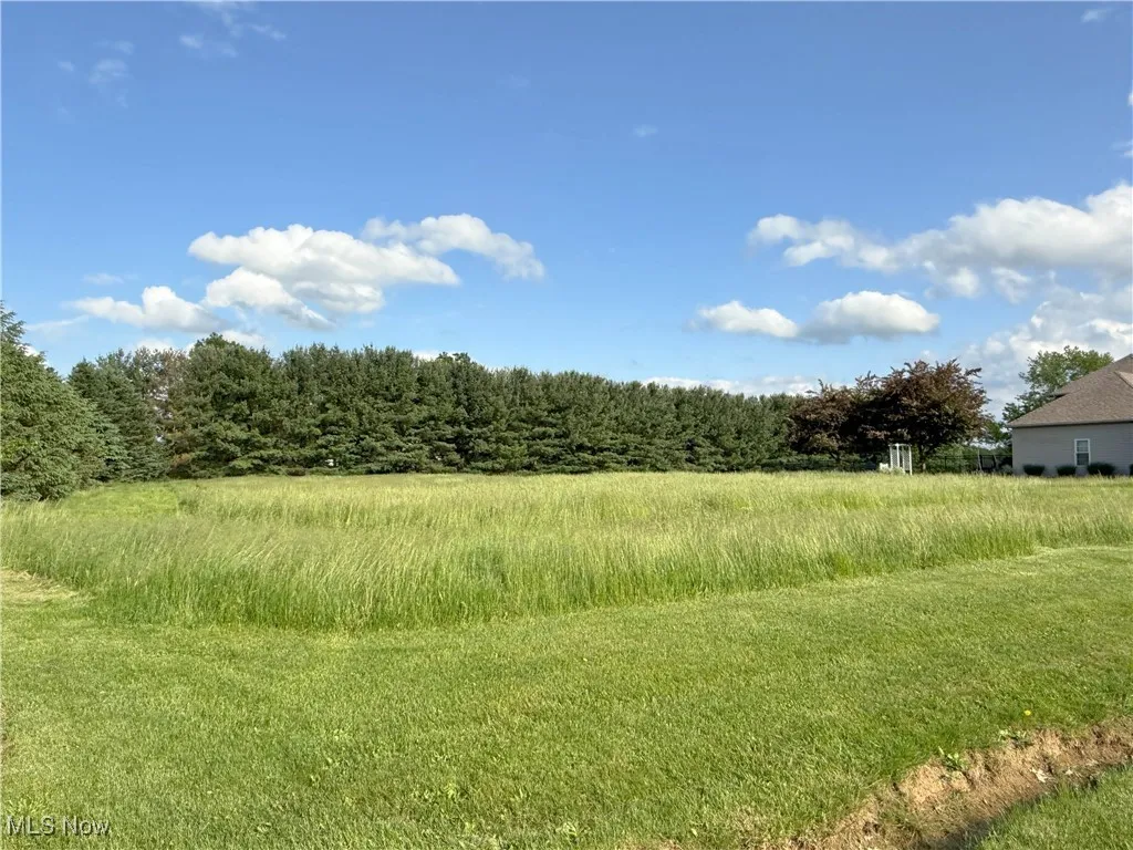 View of yard with a forest view