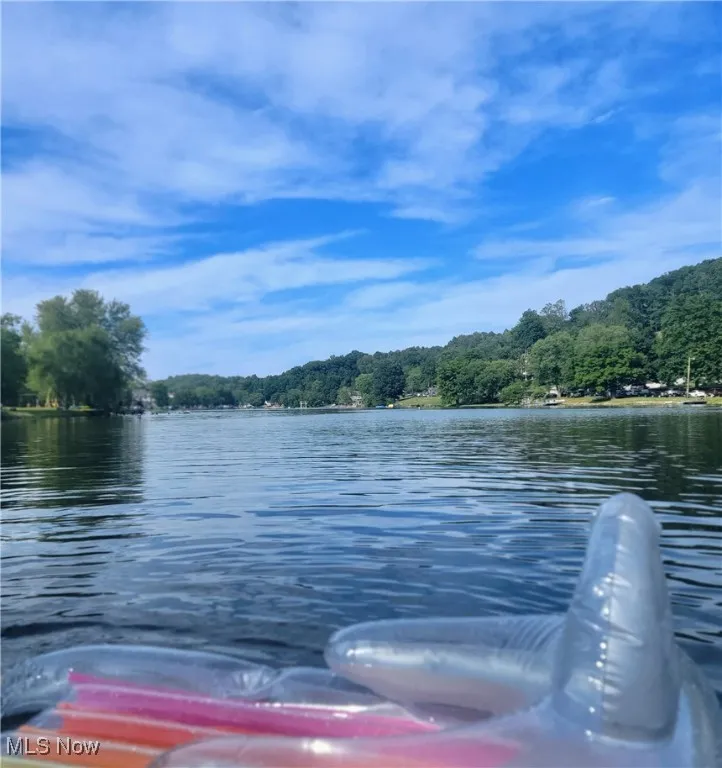 floating on the lake
