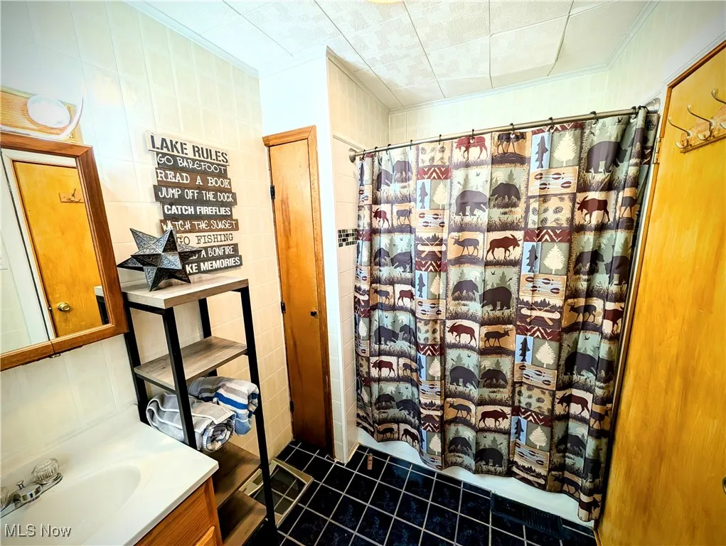 Bathroom featuring vanity and ornamental molding