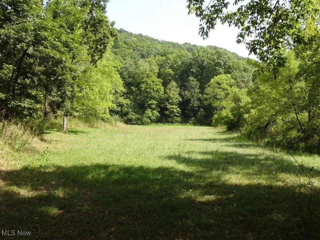 Blown Timber, Newton, West Virginia,MLS Now Listing ID