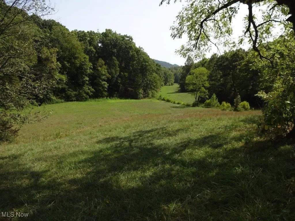 Blown Timber, Newton, West Virginia,MLS Now Listing ID