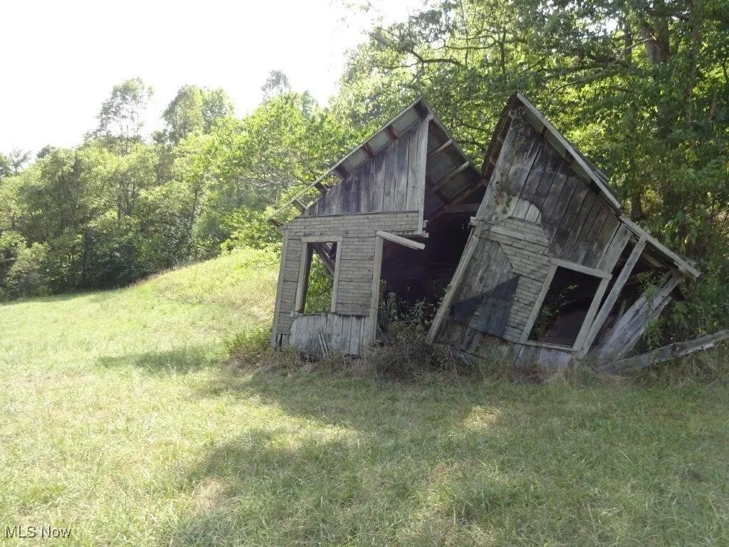 Blown Timber, Newton, West Virginia,MLS Now Listing ID