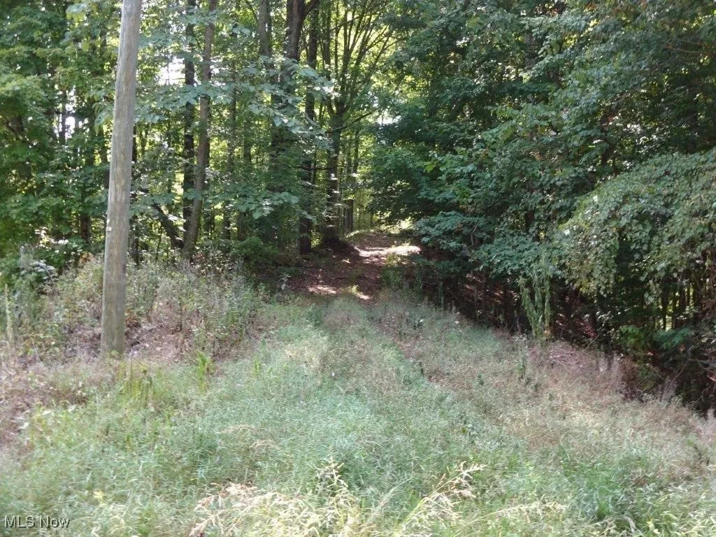 Blown Timber, Newton, West Virginia,MLS Now Listing ID