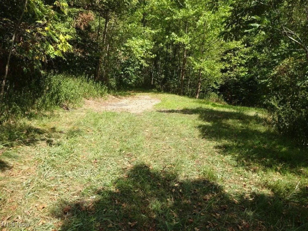 Blown Timber, Newton, West Virginia,MLS Now Listing ID