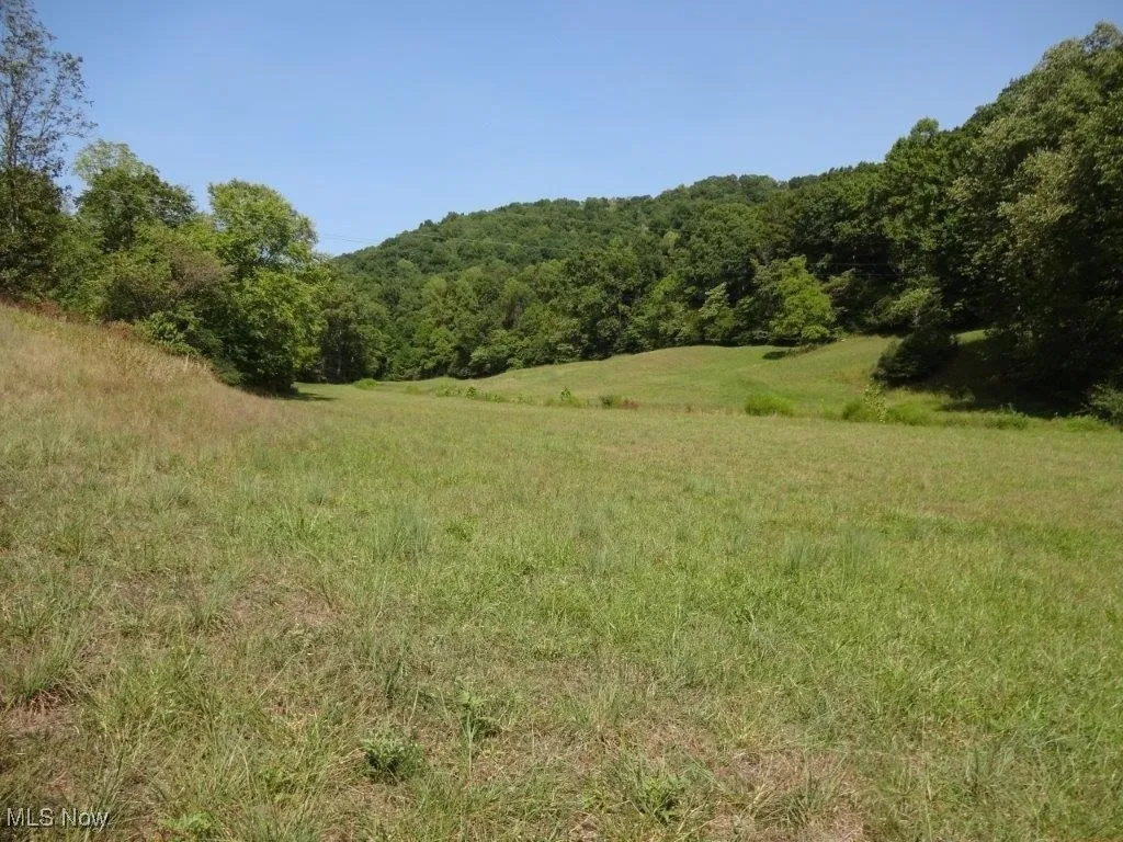 Blown Timber, Newton, West Virginia,MLS Now Listing ID