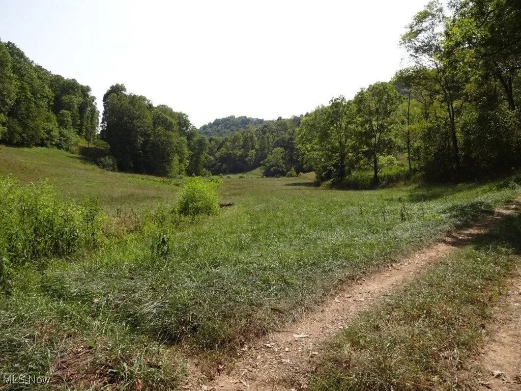 Blown Timber, Newton, West Virginia,MLS Now Listing ID
