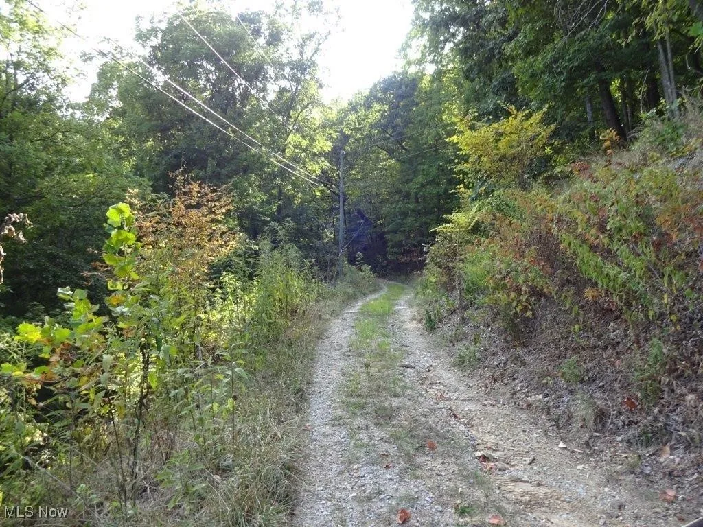 Blown Timber, Newton, West Virginia,MLS Now Listing ID