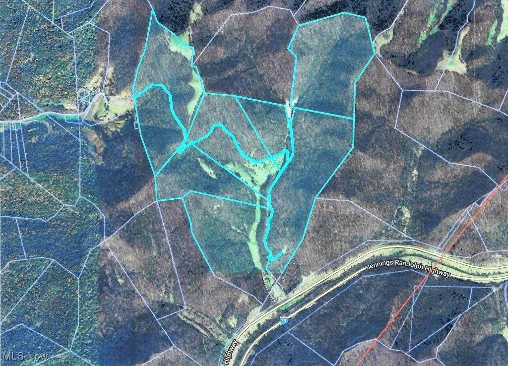 Blown Timber, Newton, West Virginia,MLS Now Listing ID