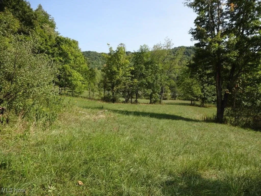Blown Timber, Newton, West Virginia,MLS Now Listing ID