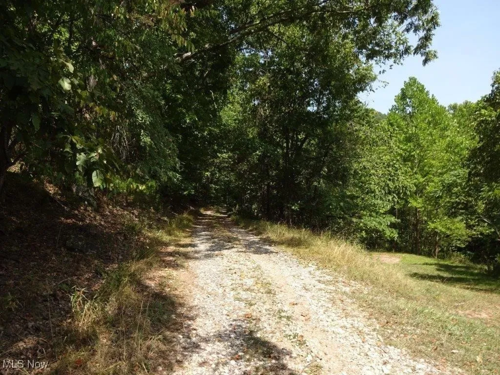 Blown Timber, Newton, West Virginia,MLS Now Listing ID